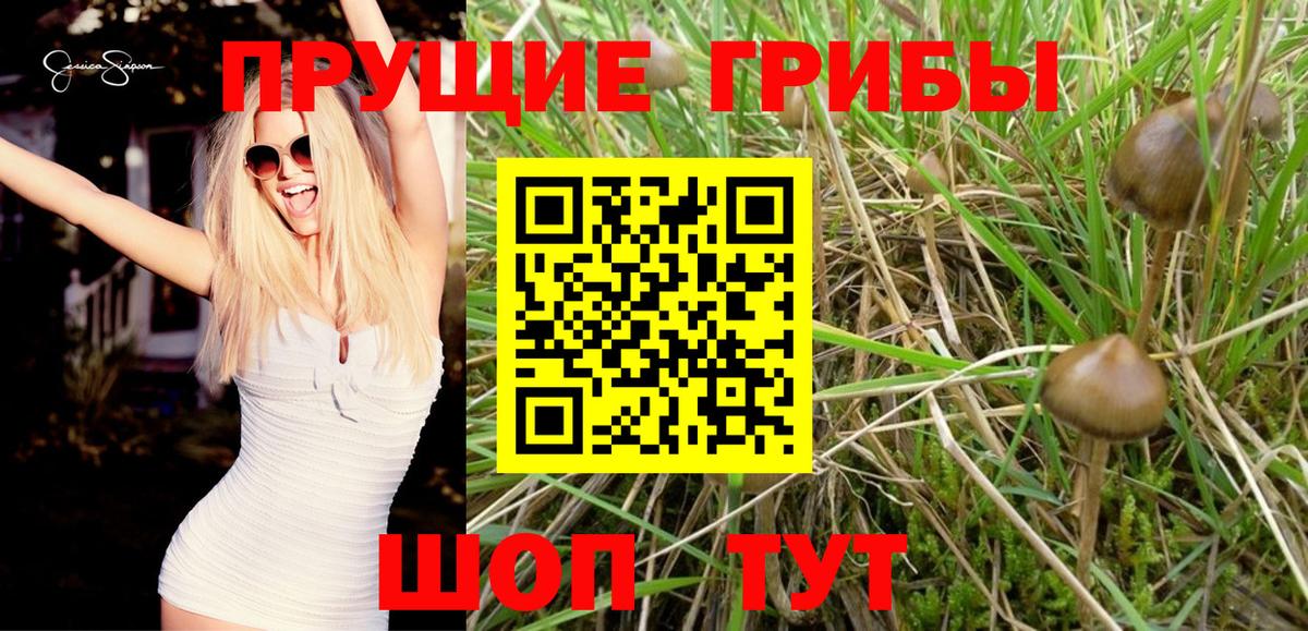 Галлюциногенные грибы Cubensis  закладки  Вход с VPN  Моздок  Псилоцибиновые грибы Magic Shrooms 