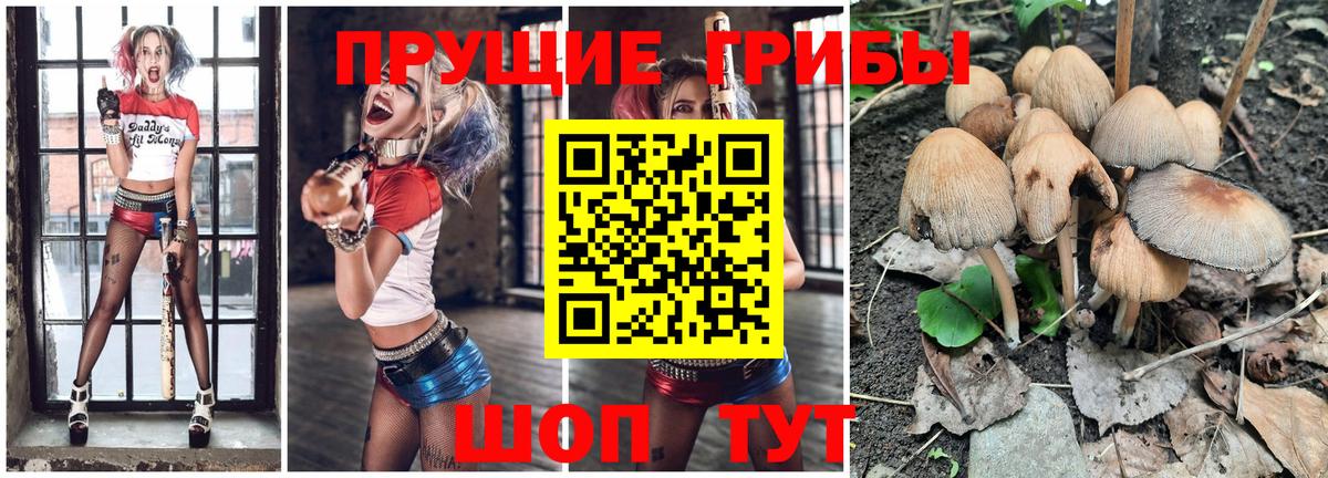 Псилоцибиновые грибы мухоморы Моздок